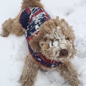 Meet your Posher, Jodee